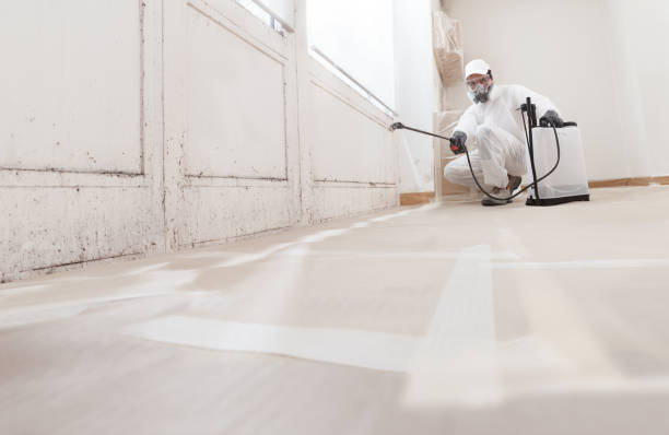 24/7 Emergency Mold Removal experts in Erie, IL
