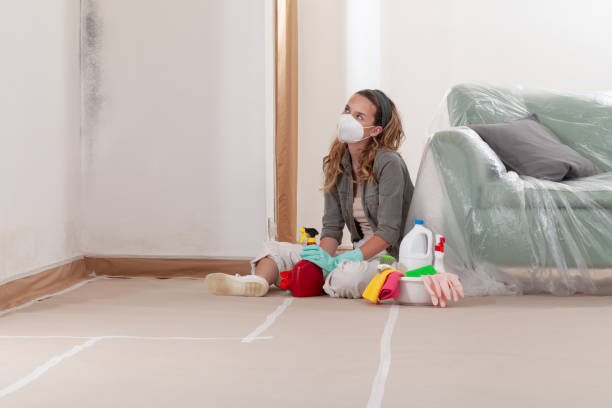Reliable Mold Removal contractor in Erie, IL by 24 Hour Mold Removal